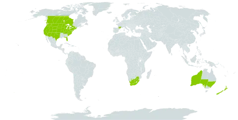 Centaurea solstitialis world distribution map, present in Australia, Canada, France, New Zealand, United States of America, and South Africa