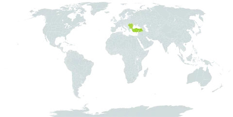 Centaurea thirkei world distribution map, present in Bulgaria, Moldova (Republic of), Romania, and Turkey