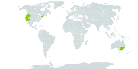 Centromadia pungens world distribution map, present in Australia and United States of America