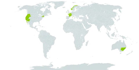 Centromadia pungens subsp. pungens world distribution map, present in Australia, Belgium, France, United Kingdom of Great Britain and Northern Ireland, Mexico, Norway, and United States of America