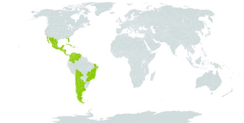 Centrosema sagittatum world distribution map, present in Argentina, American Samoa, Belize, Bolivia (Plurinational State of), Brazil, Chile, Colombia, Costa Rica, Cuba, Guatemala, Honduras, Haiti, Mexico, Nicaragua, Panama, El Salvador, United States of America, and Venezuela (Bolivarian Republic of)