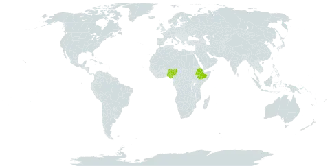 Cephalocroton incanus world distribution map, present in Ethiopia and Nigeria