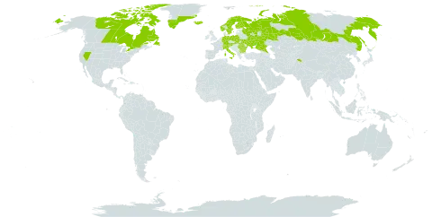 Cerastium alpinum world distribution map, present in Andorra, Austria, Bulgaria, Canada, Switzerland, Germany, Finland, France, United Kingdom of Great Britain and Northern Ireland, Greenland, India, Iceland, Italy, Liechtenstein, North Macedonia, Norway, Pakistan, Poland, Romania, Russian Federation, Slovakia, Sweden, Ukraine, and United States of America