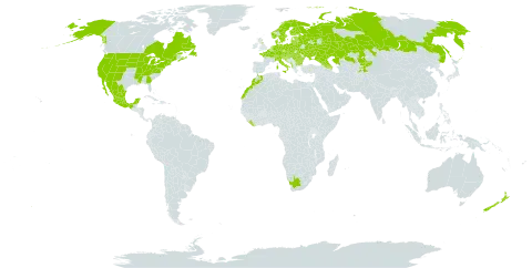 Cerastium arvense world distribution map, present in Albania, Andorra, Armenia, Austria, Azerbaijan, Belgium, Bulgaria, Bosnia and Herzegovina, Belarus, Canada, Switzerland, Czech Republic, Germany, Denmark, Spain, Estonia, Finland, France, United Kingdom of Great Britain and Northern Ireland, Georgia, Croatia, Hungary, Italy, Kazakhstan, Kyrgyzstan, Liberia, Liechtenstein, Lithuania, Luxembourg, Latvia, Morocco, Mexico, Montenegro, Netherlands, Norway, New Zealand, Poland, Romania, Russian Federation, Serbia, Slovakia, Slovenia, Sweden, Tajikistan, Ukraine, United States of America, and South Africa