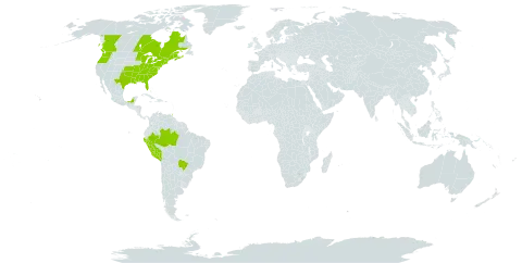 Ceratophyllum echinatum world distribution map, present in Brazil, Canada, Mexico, Peru, Trinidad and Tobago, and United States of America