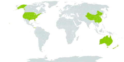 Ceratophyllum world distribution map, present in Australia, China, New Zealand, Panama, and United States of America