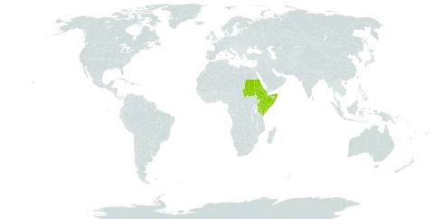 Ceratostigma abyssinicum world distribution map, present in Eritrea, Ethiopia, Kenya, Sudan, and Somalia