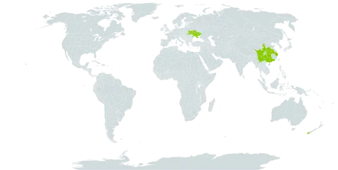 Cercis glabra world distribution map, present in China, New Zealand, and Ukraine