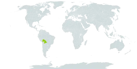 Cereus lamprospermus subsp. colosseus world distribution map, present in Bolivia (Plurinational State of)