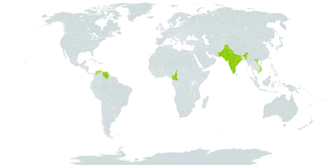 Cereus repandus world distribution map, present in Bonaire, Sint Eustatius and Saba, Cameroon, Colombia, Grenada, India, Nepal, Pakistan, Venezuela (Bolivarian Republic of), and Viet Nam