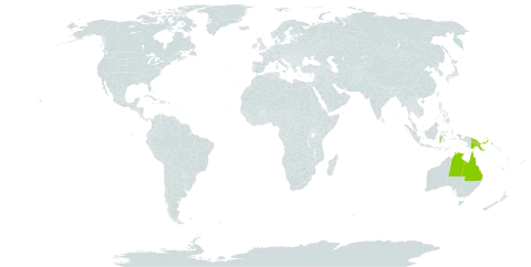 Ceriops zippeliana world distribution map, present in Australia, Indonesia, Philippines, Papua New Guinea, and Singapore