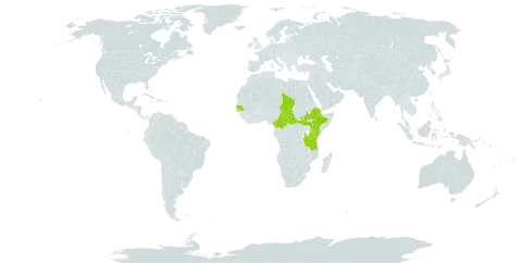 Ceropegia aristolochioides subsp. aristolochioides world distribution map, present in Central African Republic, Cameroon, Ethiopia, Kenya, Senegal, South Sudan, Chad, Tanzania, United Republic of, and Uganda