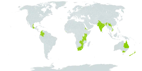 Cestrum elegans world distribution map, present in Australia, China, Colombia, Eritrea, India, Kenya, Sri Lanka, Mexico, Malawi, Nepal, New Zealand, Portugal, Réunion, Rwanda, Tanzania, United Republic of, Viet Nam, South Africa, Zambia, and Zimbabwe