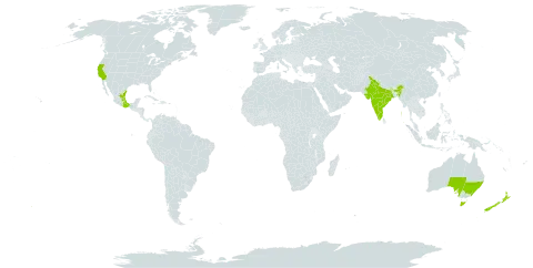 Cestrum fasciculatum world distribution map, present in Australia, India, Mexico, New Zealand, and United States of America