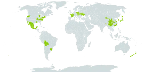 Chaenomeles speciosa world distribution map, present in Bolivia (Plurinational State of), Brazil, Bhutan, China, France, United Kingdom of Great Britain and Northern Ireland, Hungary, Japan, Korea (Republic of), Mexico, Myanmar, New Zealand, Poland, Slovakia, Ukraine, and United States of America