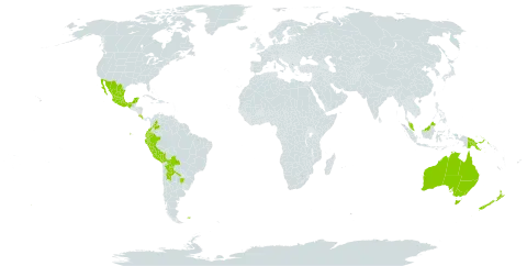 Chaerophyllum andicola world distribution map, present in Argentina, Australia, Bolivia (Plurinational State of), Colombia, Costa Rica, Ecuador, Falkland Islands (Malvinas), Hong Kong, Mexico, Malaysia, New Zealand, Peru, and Papua New Guinea