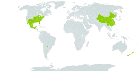 Chaerophyllum world distribution map, present in Argentina, China, Mexico, New Zealand, and United States of America