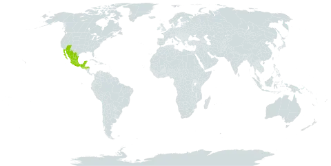 Chamaecrista absus var. meonandra world distribution map, present in Guatemala, Honduras, Mexico, and United States of America