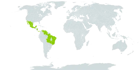 Chamaecrista fagonioides world distribution map, present in Belize, Brazil, Guyana, Mexico, Nicaragua, Panama, and Venezuela (Bolivarian Republic of)