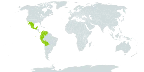 Chamaecrista glandulosa var. flavicoma world distribution map, present in American Samoa, Bolivia (Plurinational State of), Colombia, Ecuador, Guatemala, Mexico, Panama, Peru, and Venezuela (Bolivarian Republic of)