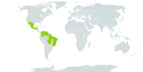 Chamaecrista hispidula world distribution map, present in Bonaire, Sint Eustatius and Saba, Belize, Brazil, Colombia, Costa Rica, Guatemala, French Guiana, Guyana, Honduras, Mexico, Panama, El Salvador, and Venezuela (Bolivarian Republic of)