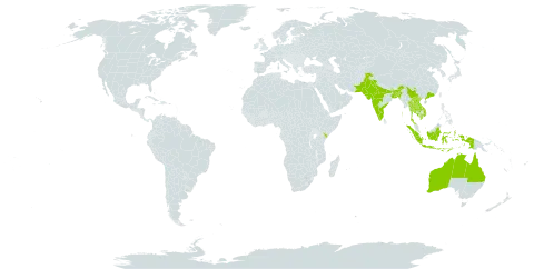 Chamaecrista pumila world distribution map, present in Australia, Bangladesh, China, Indonesia, India, Kenya, Cambodia, Lao People's Democratic Republic, Maldives, Pakistan, Thailand, Timor-Leste, Uruguay, and Viet Nam