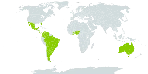 Chamaecrista rotundifolia world distribution map, present in Argentina, Australia, Bonaire, Sint Eustatius and Saba, Bolivia (Plurinational State of), Brazil, Colombia, Costa Rica, Ghana, Honduras, Mexico, Nigeria, Panama, Paraguay, Togo, Uruguay, United States of America, and Venezuela (Bolivarian Republic of)