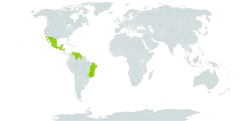 Chamaecrista zygophylloides world distribution map, present in Belize, Brazil, Guatemala, Guyana, Honduras, Mexico, and Venezuela (Bolivarian Republic of)