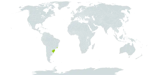 Chaptalia cordifolia world distribution map, present in Brazil