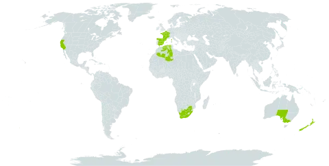 Chasmanthe floribunda world distribution map, present in Australia, Algeria, Spain, France, New Zealand, United States of America, and South Africa