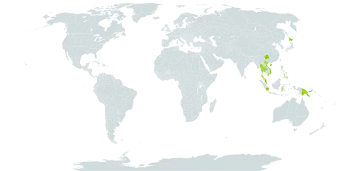 Cheiropleuria bicuspis world distribution map, present in China, Indonesia, Japan, Malaysia, Philippines, Papua New Guinea, Thailand, and Viet Nam