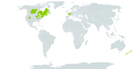 Chenopodium bonus-henricus world distribution map, present in Canada, France, New Zealand, and United States of America