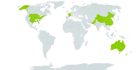 Chenopodium glaucum world distribution map, present in Australia, China, France, New Zealand, Pakistan, and United States of America