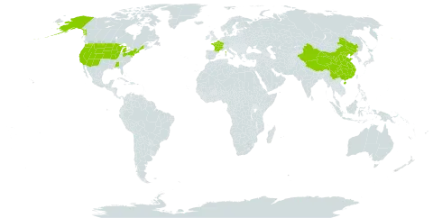 Chenopodium rubrum world distribution map, present in China, France, and United States of America