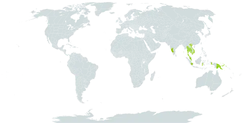 Chilocarpus denudatus world distribution map, present in Indonesia, India, Cambodia, Myanmar, Malaysia, Nigeria, Philippines, Papua New Guinea, Thailand, and Viet Nam