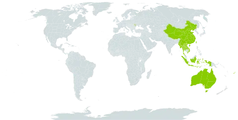 Chiloschista world distribution map, present in Andorra, Australia, China, Fiji, Indonesia, Lao People's Democratic Republic, Moldova (Republic of), Myanmar, Nepal, Thailand, Taiwan, Province of China, and Viet Nam