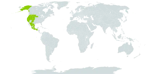 Chimaphila umbellata subsp. occidentalis world distribution map, present in Guatemala, Mexico, and United States of America