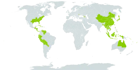 Chionanthus world distribution map, present in Åland Islands, Andorra, Australia, Bangladesh, Bahamas, Belize, Bolivia (Plurinational State of), China, Costa Rica, Cuba, Cayman Islands, Dominica, Ecuador, Fiji, Georgia, Guatemala, Honduras, Haiti, Indonesia, Jamaica, Japan, Lao People's Democratic Republic, Moldova (Republic of), Myanmar, Malaysia, Norfolk Island, Nicaragua, Nepal, Panama, Peru, Philippines, Puerto Rico, Korea (Democratic People's Republic of), Paraguay, Solomon Islands, Thailand, Tonga, Taiwan, Province of China, United States of America, Venezuela (Bolivarian Republic of), Viet Nam, Vanuatu, and Samoa