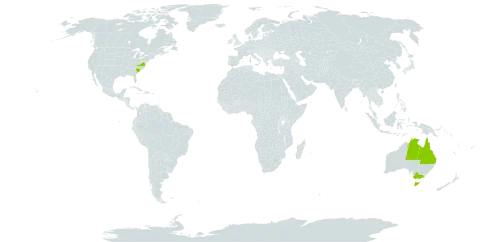 Chloris ventricosa world distribution map, present in Australia and United States of America