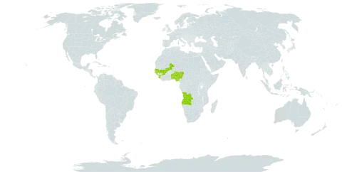 Chlorophytum limosum world distribution map, present in Angola, Benin, Guinea, Gambia, Guinea-Bissau, Mali, Nigeria, Senegal, Sierra Leone, and Togo