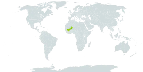 Chlorophytum nzii world distribution map, present in Mali