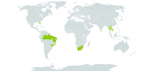 Chrysobalanus icaco world distribution map, present in Brazil, Fiji, Panama, Singapore, Thailand, United States of America, Viet Nam, and South Africa