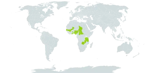 Chrysochloa hindsii world distribution map, present in Burkina Faso, Central African Republic, Ghana, Mali, Nigeria, Senegal, Chad, Togo, Tanzania, United Republic of, and Zambia