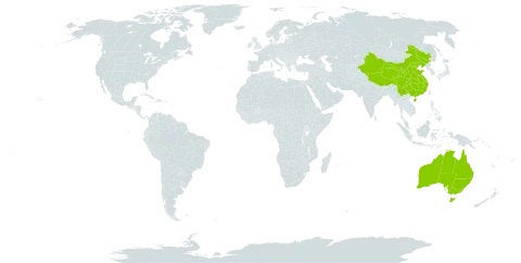 Chukrasia world distribution map, present in Australia and China