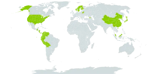 Cinna world distribution map, present in Åland Islands, Belarus, Bolivia (Plurinational State of), China, Colombia, Costa Rica, Ecuador, Finland, Micronesia (Federated States of), Georgia, Guatemala, Japan, Montenegro, Malaysia, Nicaragua, Norway, Panama, Peru, Korea (Democratic People's Republic of), Sweden, United States of America, and Venezuela (Bolivarian Republic of)