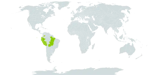 Cissus peruviana world distribution map, present in Bolivia (Plurinational State of), Brazil, Colombia, Ecuador, and Peru