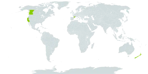 Cistus creticus world distribution map, present in Canada, France, New Zealand, and United States of America