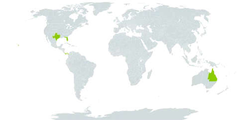 Citharexylum world distribution map, present in Australia, Panama, and United States of America