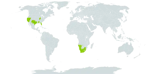 Citrullus amarus world distribution map, present in Namibia, United States of America, and South Africa