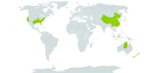 Citrus world distribution map, present in Australia, China, New Zealand, Panama, and United States of America